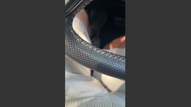 aragon5752 01-07-2025 Recorded Video fuckface