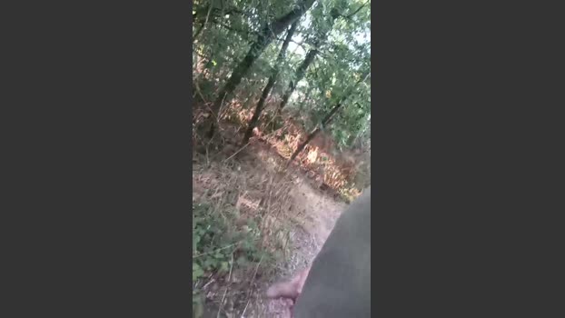 fulibal 30-06-2025 Recorded Video natural