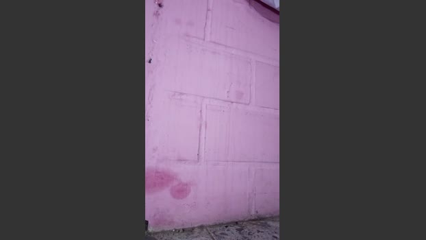 Sir_pissyoung 02-07-2025 Recorded Video bj-dildo