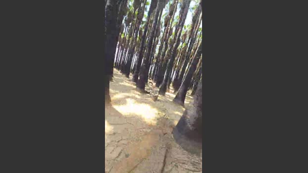 bbtomRE 03-07-2025 Recorded Video hard