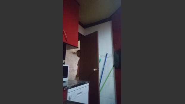 roger1898 02-07-2025 Recorded Video sex