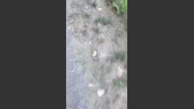 stefan519 03-07-2025 Recorded Video sex
