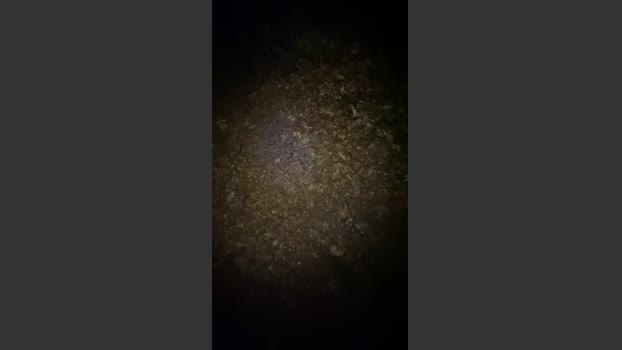 Outandabout 04-07-2025 Recorded Video fuckher