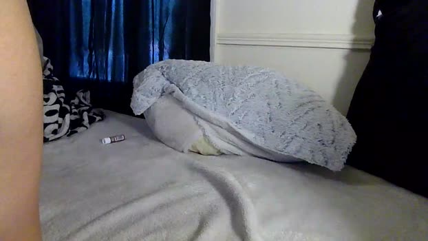 Prince2KingDIck 04-07-2025 Recorded Video fuckface