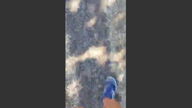 stefan519 04-07-2025 Recorded Video analtoy