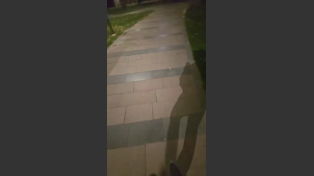 pollen_07 05-07-2025 Recorded Video amateur