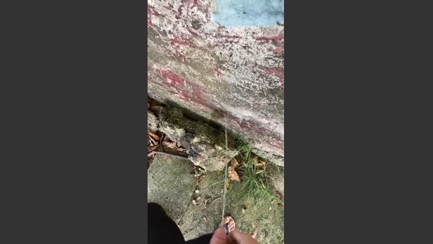 Wesss8 06-07-2025 Recorded Video wank