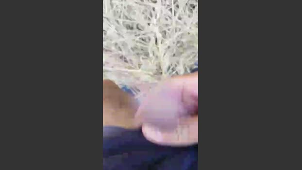 stefan519 06-07-2025 Recorded Video Pretty
