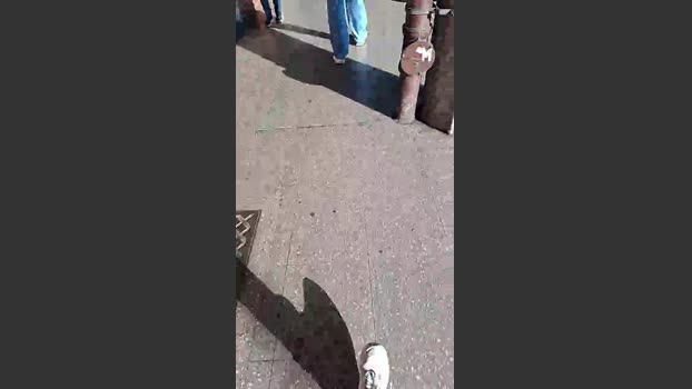 Oinseminador 08-07-2025 Recorded Video gag