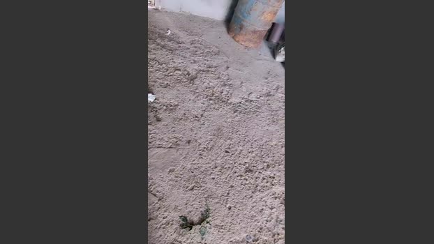 Papiyoungpig 07-07-2025 Recorded Video hard