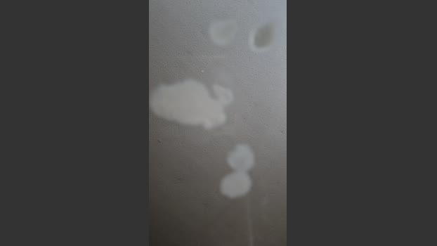 VeiledEros 09-07-2025 Recorded Video Porn