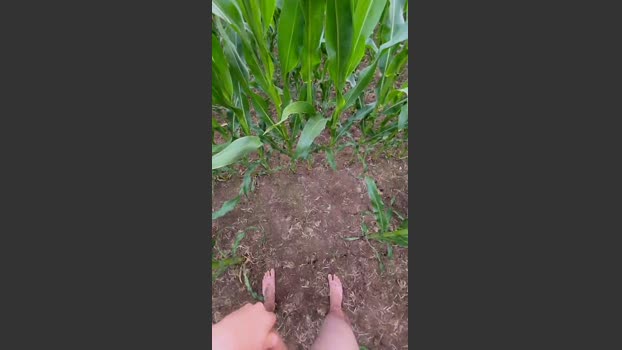 Yrrorel1 08-07-2025 Recorded Video squirt