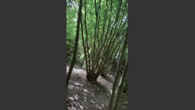 DaveBraun 10-07-2025 Recorded Video blowjob