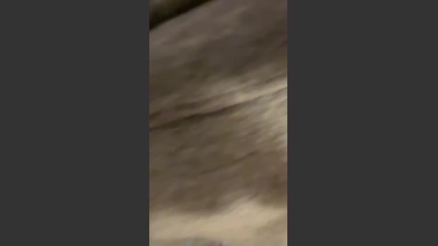 PH_alpha 09-07-2025 Recorded Video big