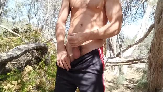 Pabloysebas 09-07-2025 Recorded Video orgasm