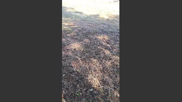 hotbody18y 10-07-2025 Recorded Video Video