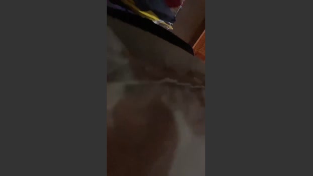 jorgeeeeeeeeee 10-07-2025 Recorded Video twink