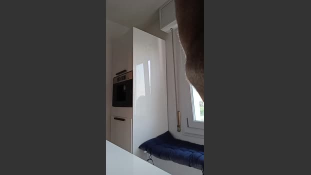 occhifun 09-07-2025 Recorded Video sexymale