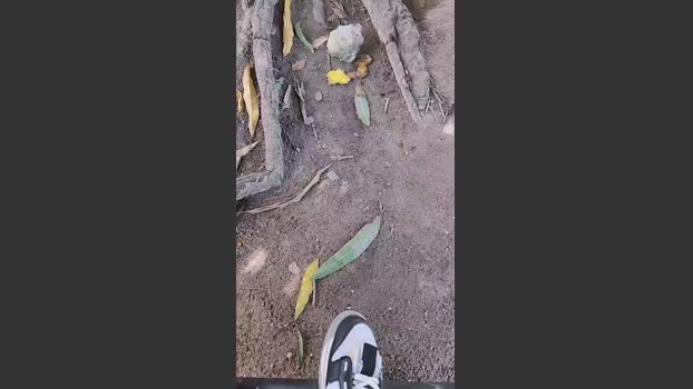 Papiyoungpig 10-07-2025 Recorded Video beautiful