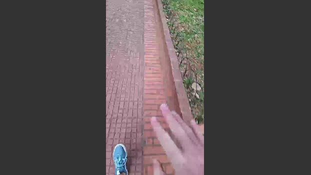Oinseminador 11-07-2025 Recorded Video Video