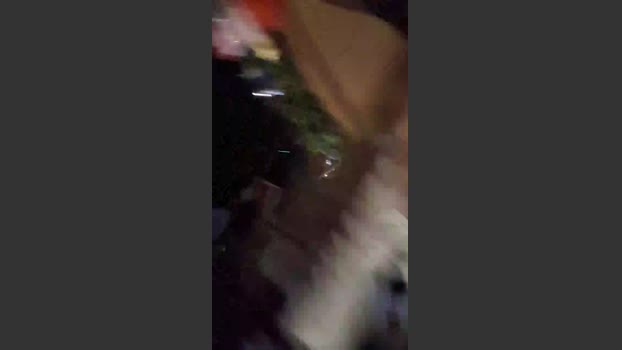 Oinseminador 12-07-2025 Recorded Video sexykitty