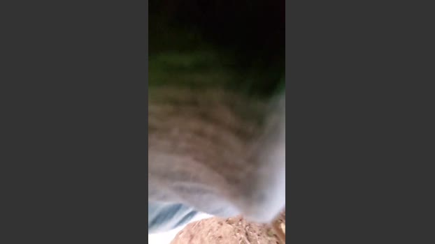 todibone 11-07-2025 Recorded Video skinny