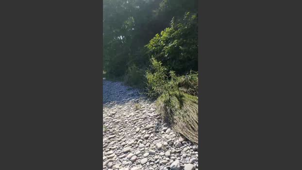 JimsuiXXX 13-07-2025 Recorded Video sexykitty