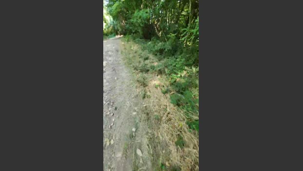 Legtiste 13-07-2025 Recorded Video orgasm