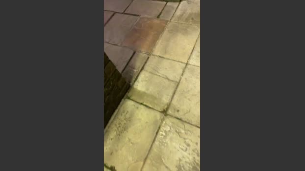 Outandabout 13-07-2025 Recorded Video suckcock