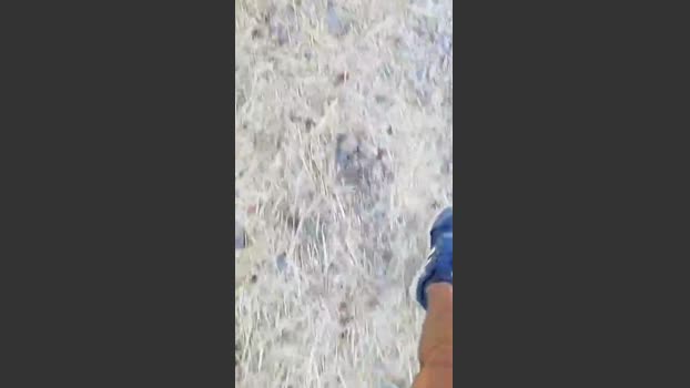 stefan519 13-07-2025 Recorded Video sweet