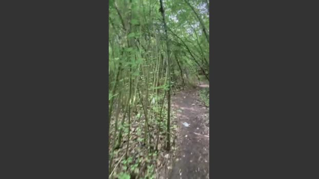 DaveBraun 14-07-2025 Recorded Video yummy