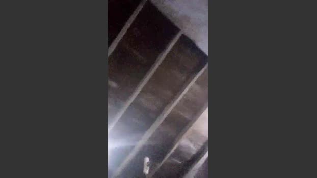 Franconicolas30 14-07-2025 Recorded Video fuckface