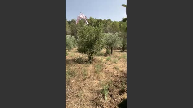 Gabr1996 14-07-2025 Recorded Video legs