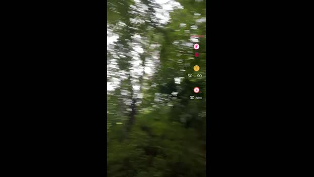 Lufenicci 14-07-2025 Recorded Video cute