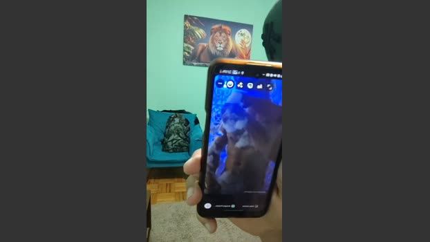 brancao23cm 14-07-2025 Recorded Video kink