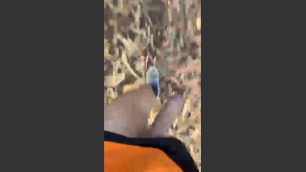 Alcindogomes 14-07-2025 Recorded Video sexyfeet