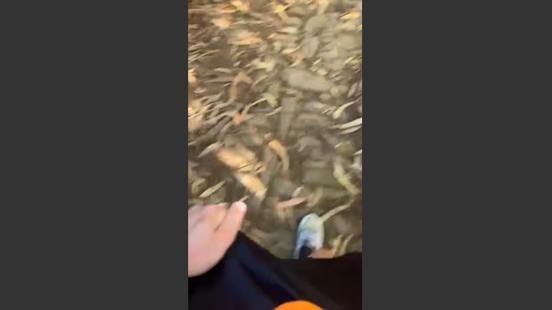 Alcindogomes 14-07-2025 Recorded Video big
