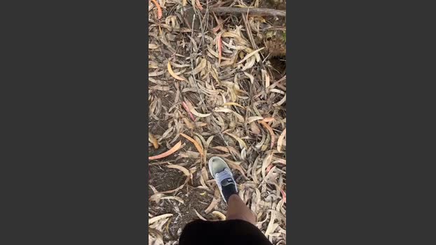 Alcindogomes 14-07-2025 Recorded Video jackoff