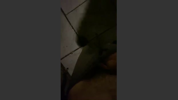 Outandabout 15-07-2025 Recorded Video blowjob
