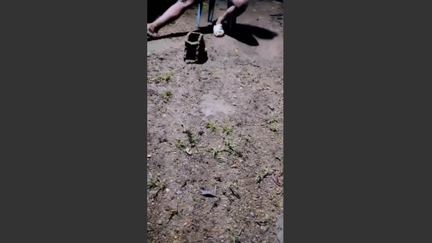 Papiyoungpig 15-07-2025 Recorded Video bigtoys
