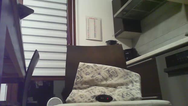 ilmioo21 14-07-2025 Recorded Video analtoy