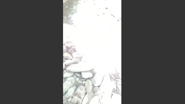 tigger1 14-07-2025 Recorded Video lick