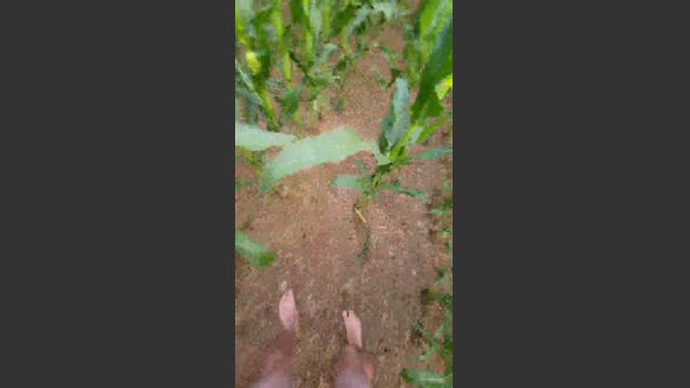 Yrrorel1 16-07-2025 Recorded Video lick