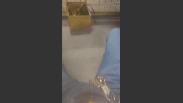 paulinhossa1 16-07-2025 Recorded Video gay