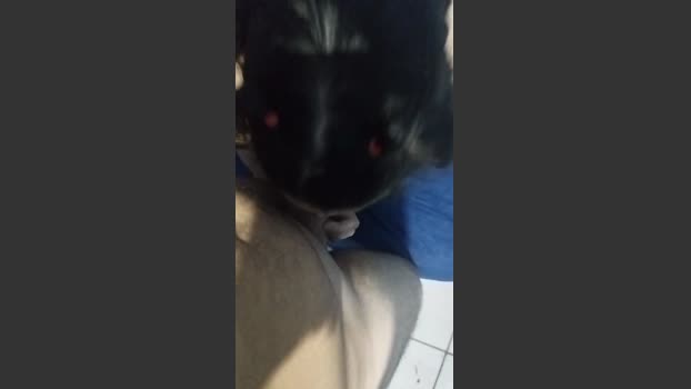 Alanzinho88 18-07-2025 Recorded Video kissing