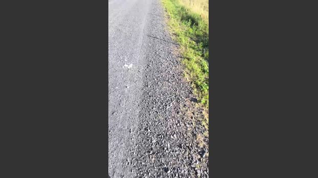 Endi7777 17-07-2025 Recorded Video bigballs
