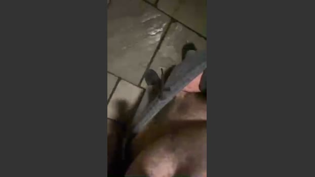 Outandabout 17-07-2025 Recorded Video blowjob