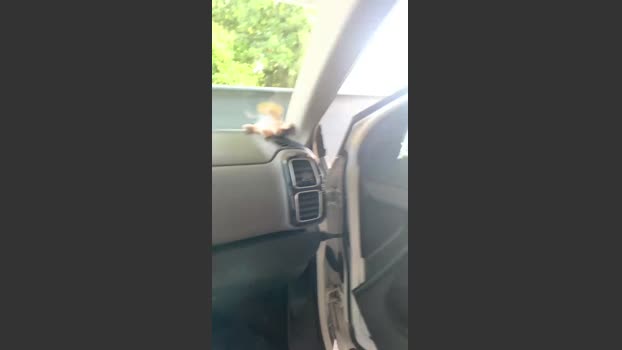 lulu0604 18-07-2025 Recorded Video squirt