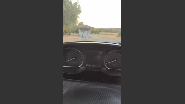 luis8187 18-07-2025 Recorded Video fingering