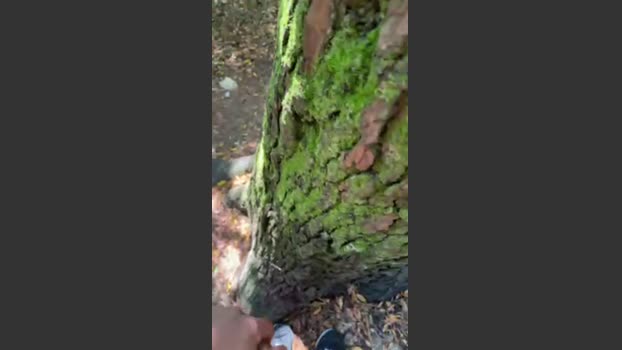 Horny_cruising 20-07-2025 Recorded Video skinny